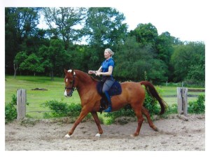 12 jährige Hannoveraner Stute Kaya 